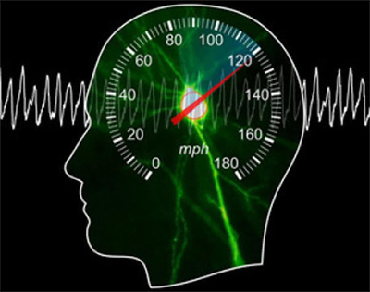 Scientists discover speedometer in brain